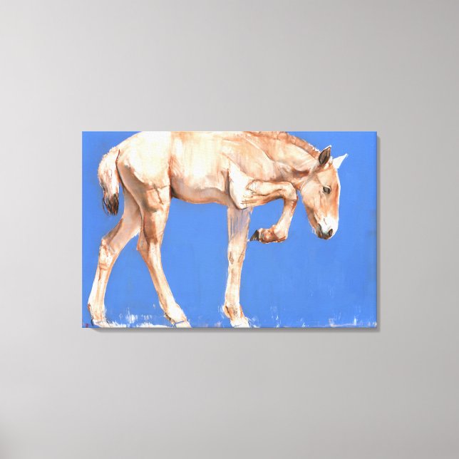 Przewalski Foal 2012 Canvas Print (Front)