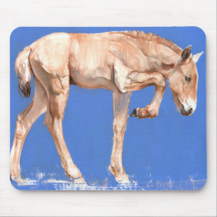 Przewalski Foal 2012 Mouse Pad