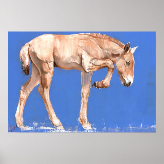 Przewalski Foal 2012 Poster (Front)