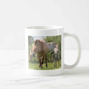 Przewalski's Horse and foal walking Coffee Mug