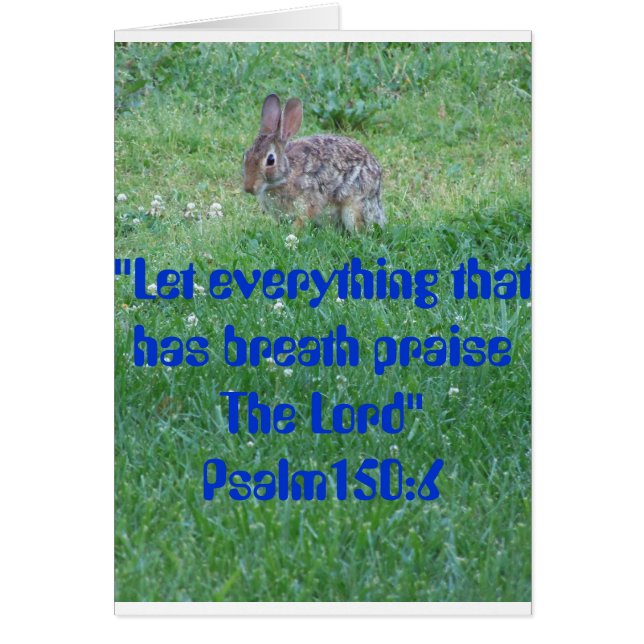 Psalm 105:6, Critters (Front)