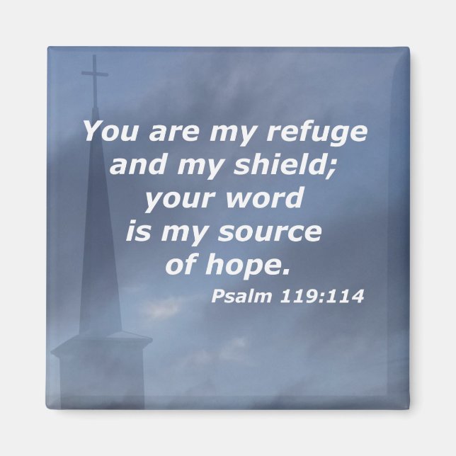 Psalm 119:114 magnet (Front)