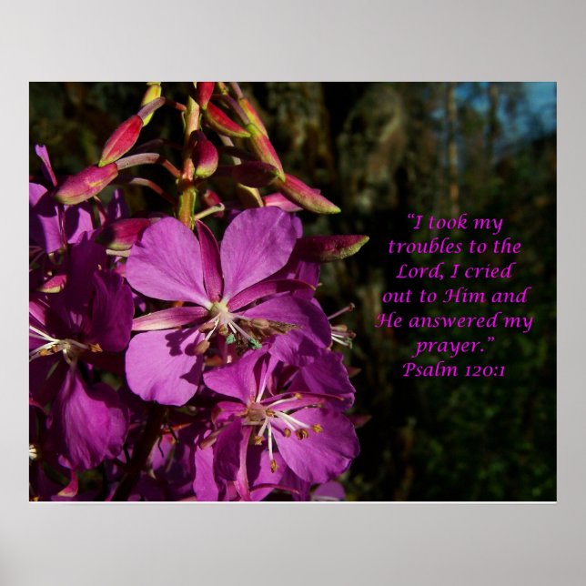 Psalm 120:1 Psalm of Encouragement Flower Poster (Front)