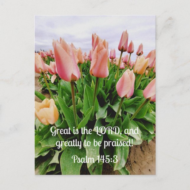 Psalm 145:3 Great is the Lord and greatly to be Postcard (Front)