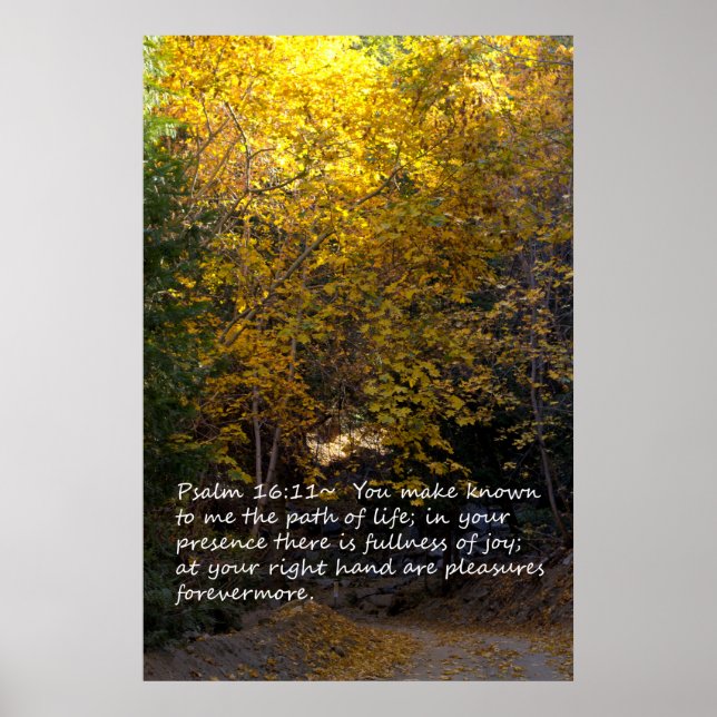 Psalm 16:11 path poster (Front)