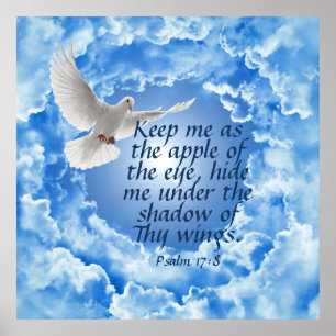 Psalm 17:8 poster