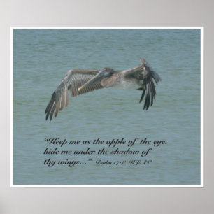 Psalm 17:8 Scripture Print, Version B Poster