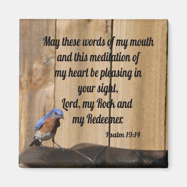 Psalm 19:14 magnet (Front)