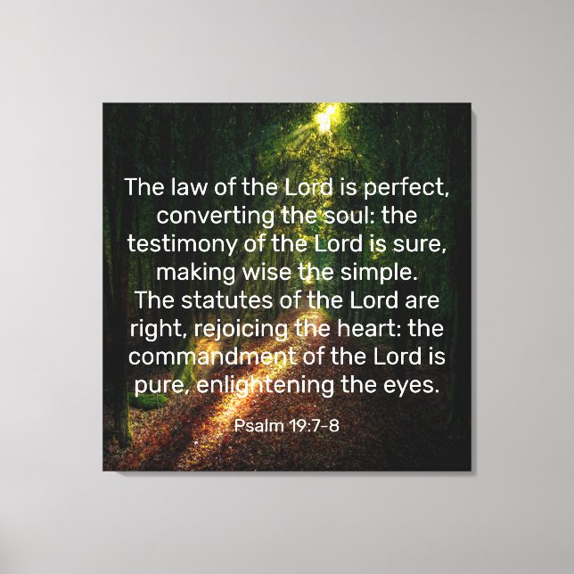 Psalm 19:7-8 Canvas Print (Front)