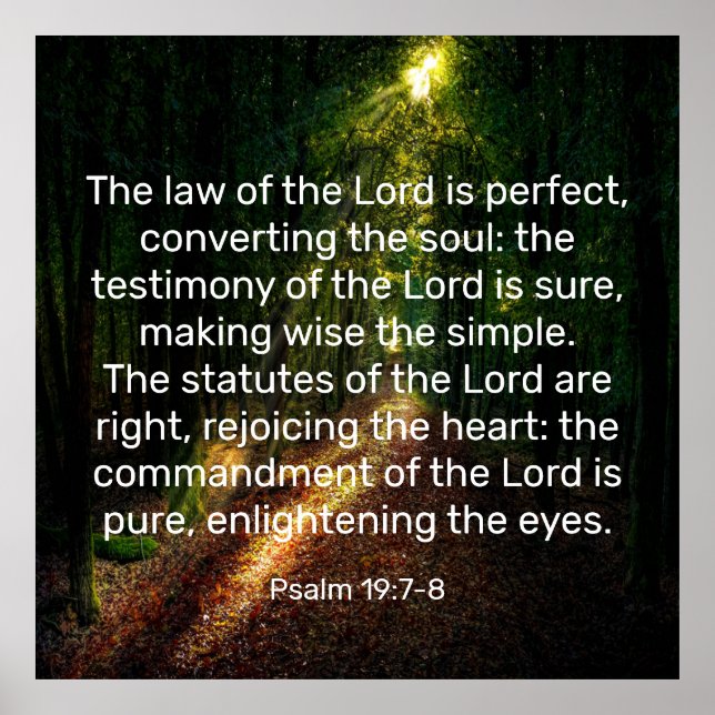 Psalm 19:7-8  poster (Front)