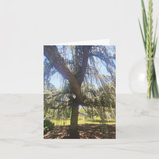 Psalm 1:1-3 Blank Card (Front)