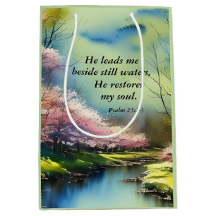 Psalm 23:2-3 He restores my soul Bible Verse Medium Gift Bag