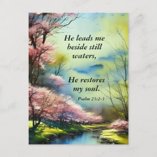 Psalm 23:2-3 He restores my soul Bible Verse Postcard