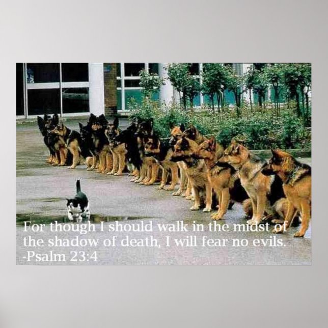 Psalm 23:4 poster (Front)