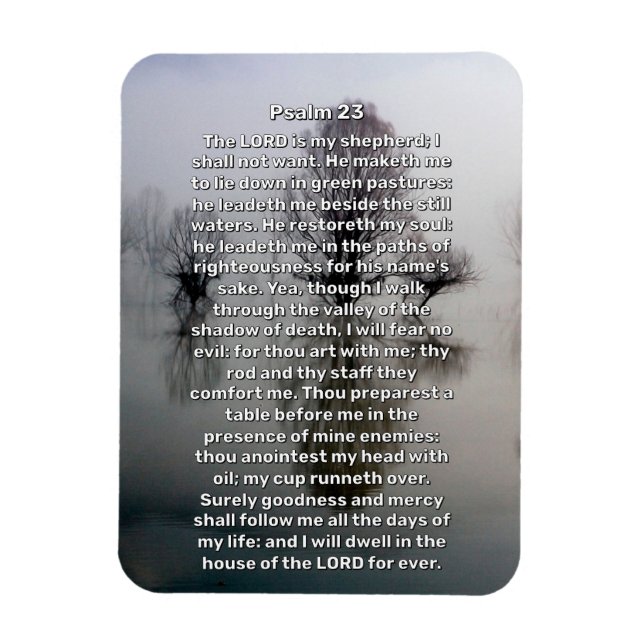 Psalm 23 Illuminated Lake Religious Magnet (Vertical)