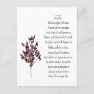 Psalm 23, Song of David, Floral Postcard