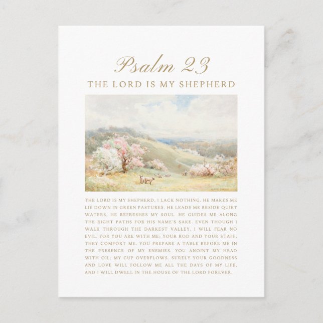 Psalm 23 The Lord is My Shepherd Postcard (Front)