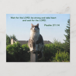 Psalm 27:14 and Crosseyed cat Postcard