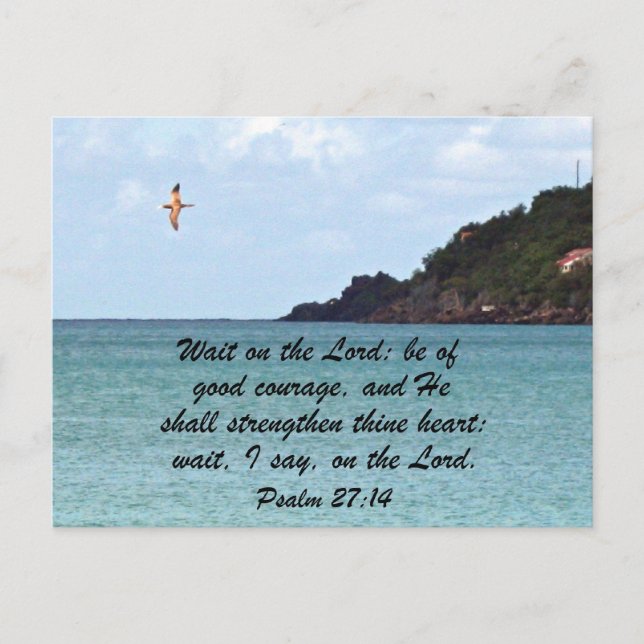 Psalm 27:14 Wait on the Lord... Postcard (Front)