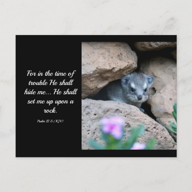 Psalm 27:5 (KJV) Postcard (Front)