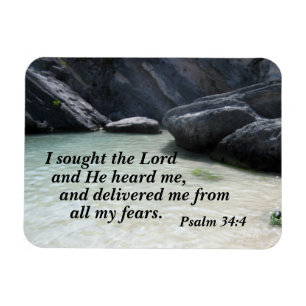 Psalm 34:4 I sought the Lord and He heard me Magnet