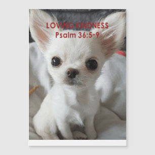 Psalm 36 Chihuahua Invitations