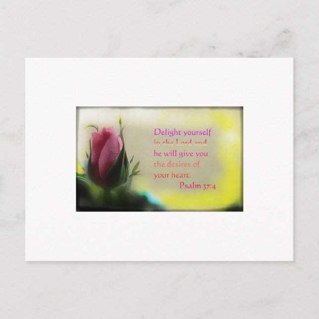 Psalm 37:4 postcard (Front)