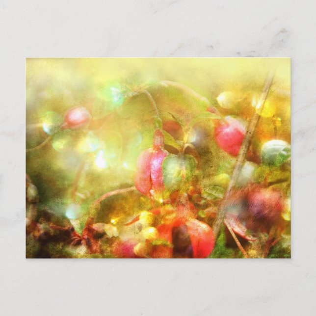 Psalm 37 postcard (Front)