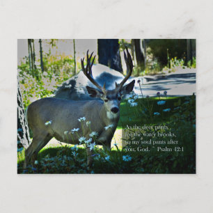 Psalm 42:1 and Deer Postcard