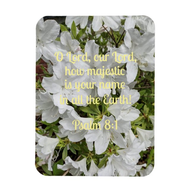 Psalm 8:1 O Lord, our Lord, how majestic is  Magnet (Vertical)