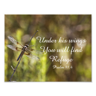 Psalm 91:4 With dragonfly Photo Print