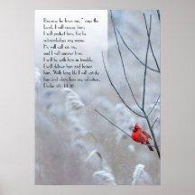 Psalm 91, Christian poster with a red bird