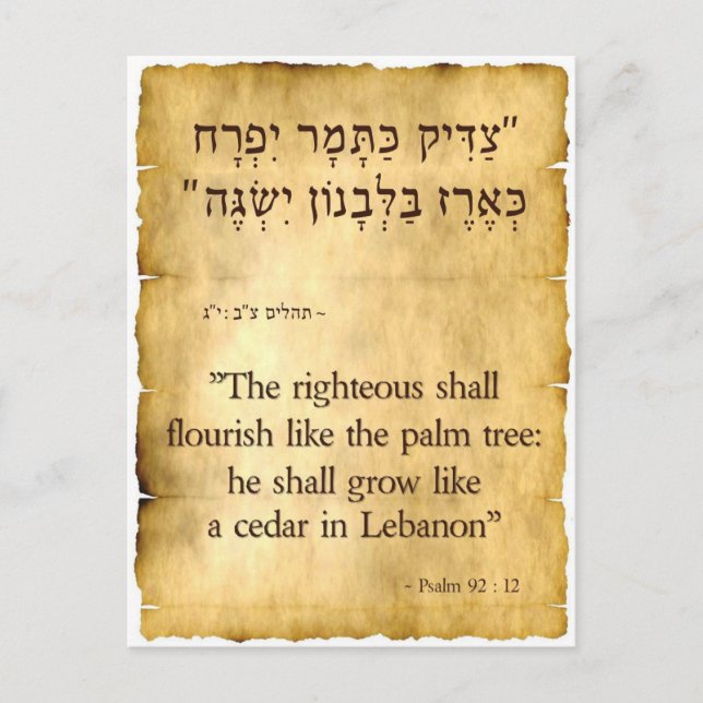 Psalm 92:12 Hebrew and English Postcard (Front)