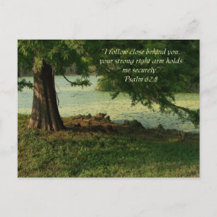 Psalm of Comfort Postcard