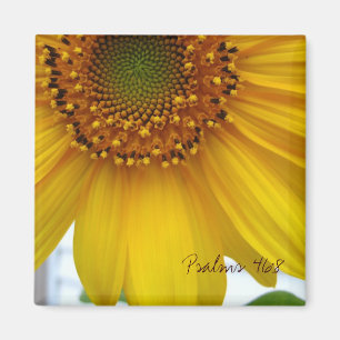 Psalms 46:8 magnet