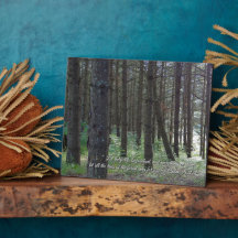 Psalms 96:12 Inspirational