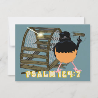 Psalms—White Rumped Shama Postcard