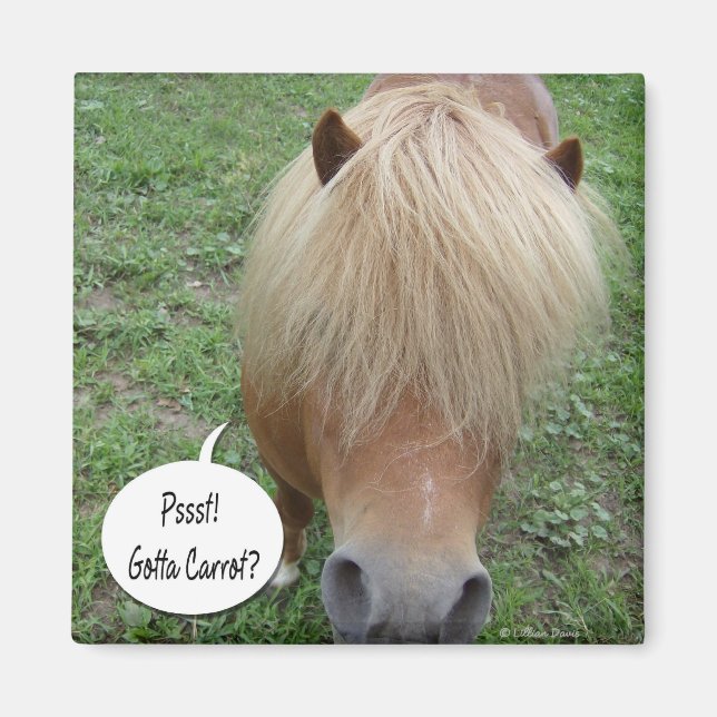 psst! Gotta carrot? Magnet (Front)