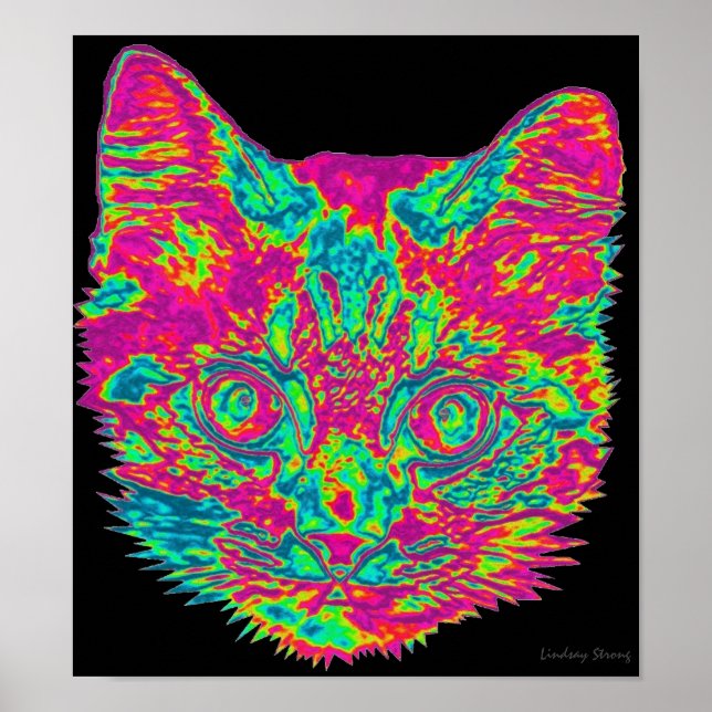 Psychedelic Cat Poster (Front)