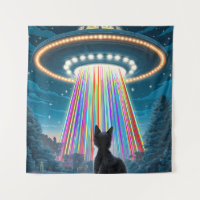Psychedelic Cat & UFO | Funny Alien Abduction Art