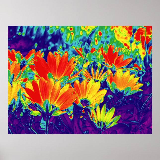 Psychedelic Flowers Poster (Front)