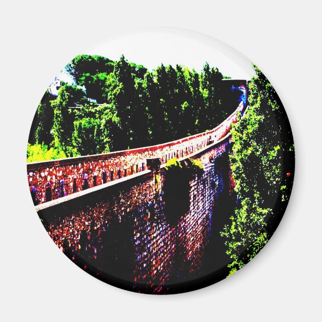 psychedelic Girona bridge wall, Spain Magnet (Front)