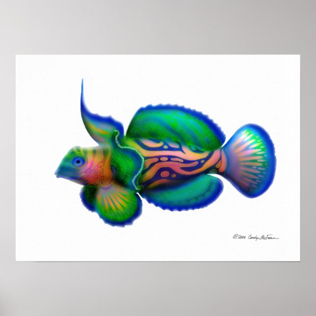 Psychedelic Mandarin Fish Poster (Front)