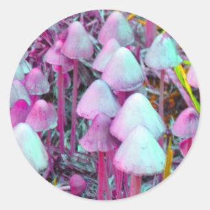 Psychedelic Mushrooms Classic Round Sticker