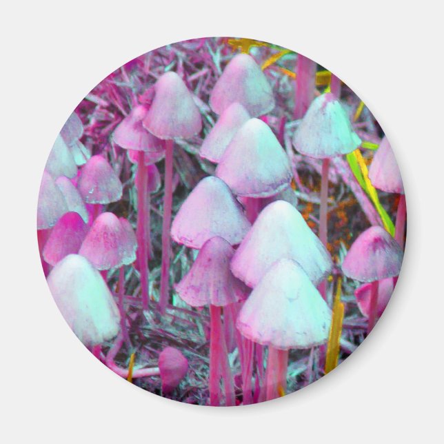 Psychedelic Mushrooms Magnet (Front)
