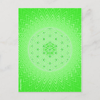 Psychedelic Sacred Geometry Heart Chakra Design Postcard