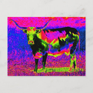 Psychedelic Texas Longhorn Cow Postcard