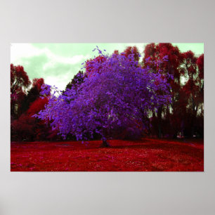 Psychedelic Tree Poster
