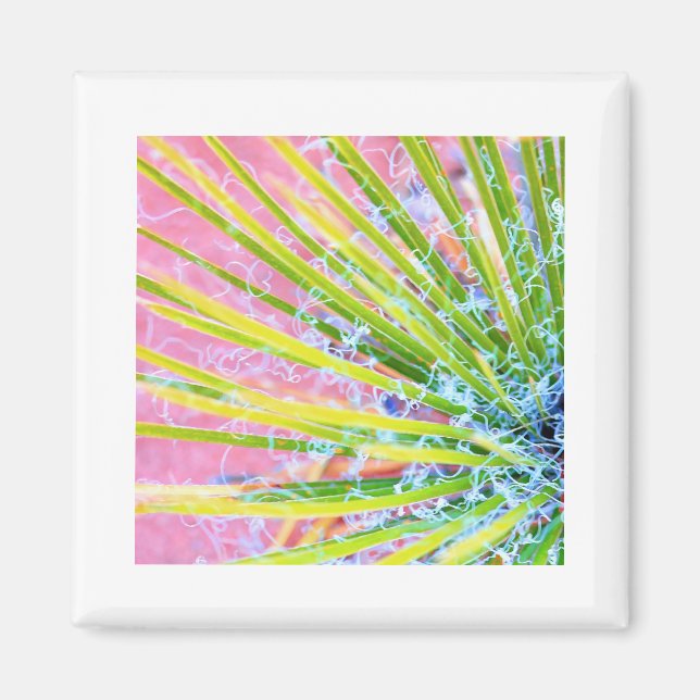 Psychedelic Yucca Magnet (Front)