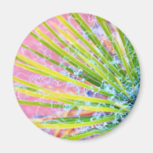 Psychedelic Yucca Magnet